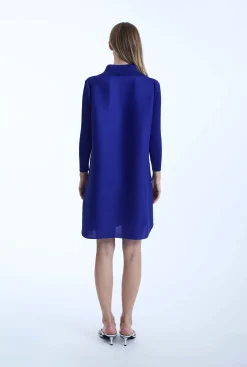 James Lakeland Pleated Royal Dress